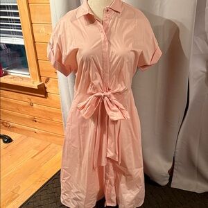 Pink Short Sleeve Shirt Dress with Bow
